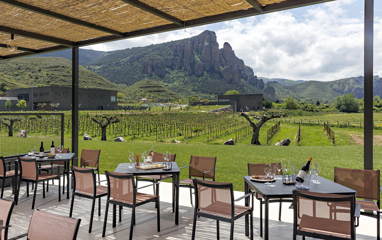 Winebar Vinos de Finca Palacios en Nalda, rodeado de viñedos y con los riscos de la Rioja como fondo