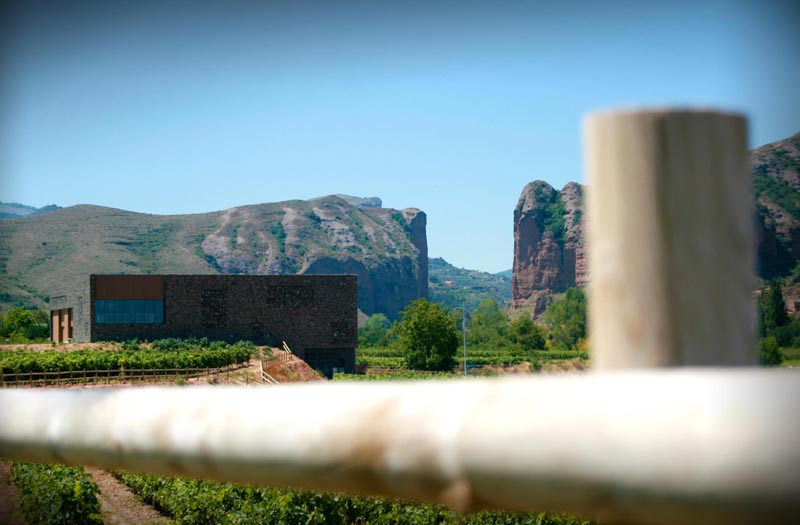 Se muestran los viñedos con la bodega al fondo
