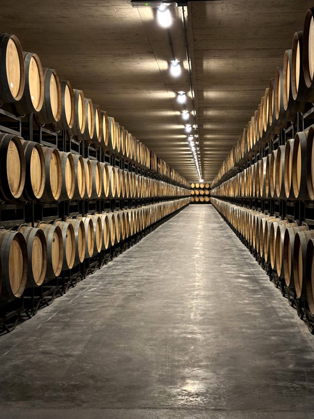 Vista nocturna de la bodega