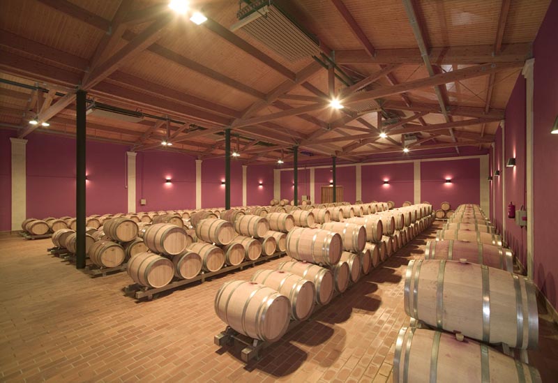 Se muestran las barricas donde envejecen el vino