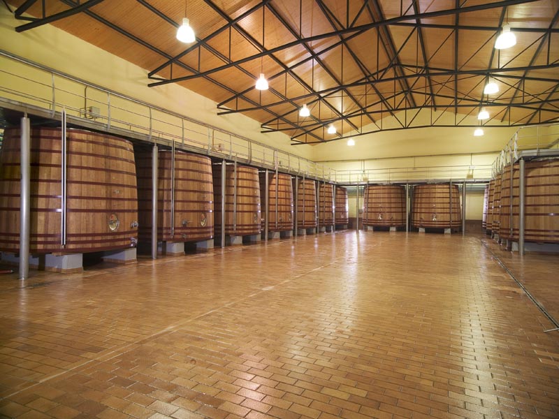 Se muestran los depositos de uva de dentro de las instalaciones