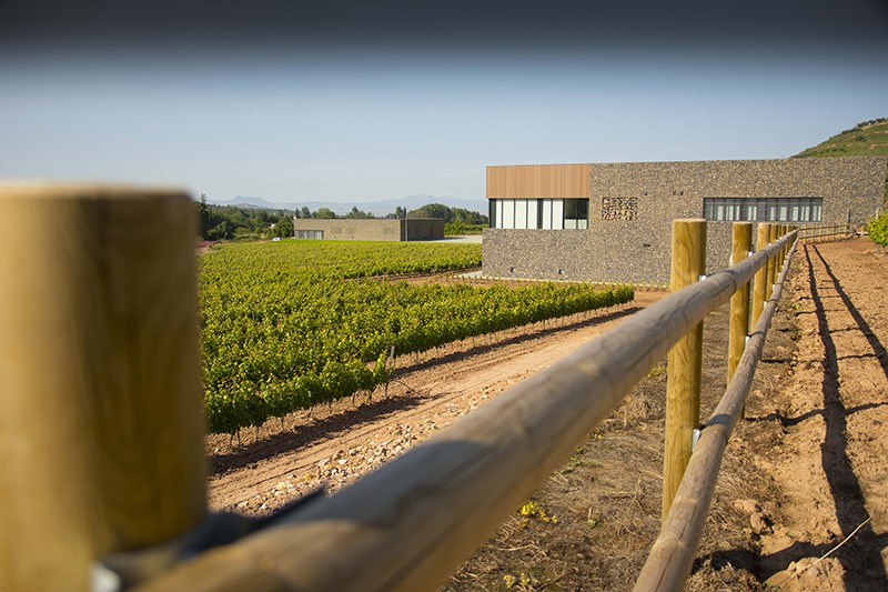 Se muestran los viñedos con la bodega de fondo