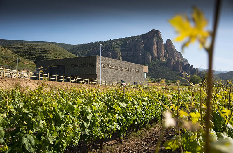 Se muestra na perspectiva de la bodega y los viñedos