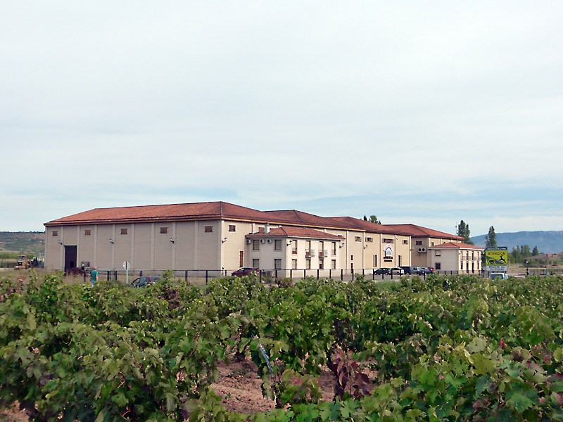 Vista de los viñedos de la bodega